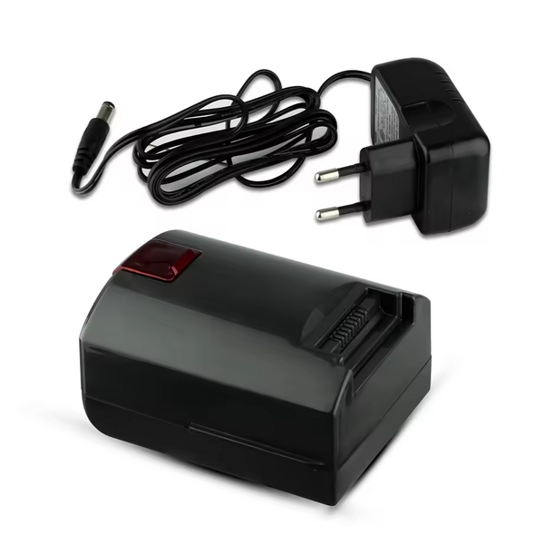 RAF Handheld Vacuum Cleaner, Charger, Black, 100 Watt, Model R.8667